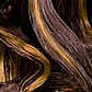Nylon - 04M Dark Brown / Honey Blonde